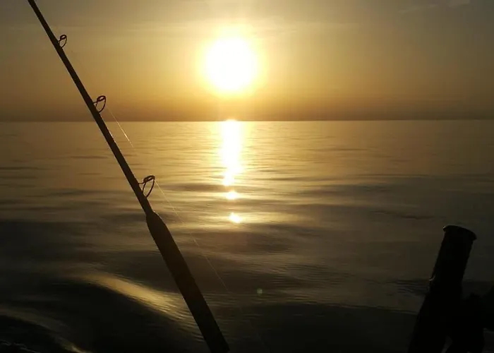 Corte Atenea Experience & *