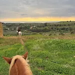 Corte Atenea Experience & Агридженто