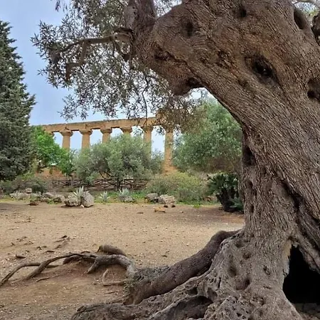 Corte Atenea Experience & Agrigento