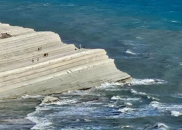 Corte Atenea Experience &